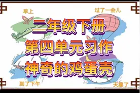 二年级下册第四单元同步作文写作指导，万能的鸡蛋壳视频封面