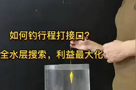 如何钓行程打接口，实现全水层搜索，钓获更多鱼利益最大化？视频封面