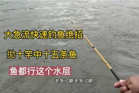 大急流快速钓鱼绝招，拋十竿中十五条鱼，鱼都在这下面等着吃钩视频封面