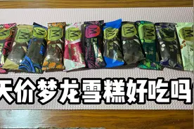 天价梦龙雪糕好吃吗？视频封面
