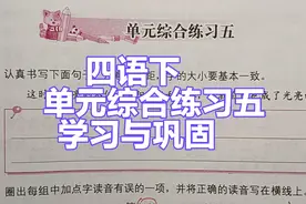 四年级语文下册：单元综合练习五讲解，同步练习题学习与巩固视频封面