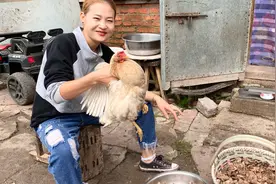 农村媳妇抓一只大母鸡，老公采了一筐蘑菇，小鸡炖蘑菇太香了！视频封面