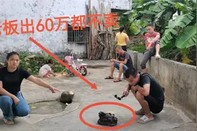 拆老房发现个“宝贝”，有人出价600000万，小伙却不卖，涨见识了视频封面