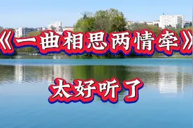 非常好听的一首歌《一曲相思两情牵》深情感人，句句入心，超好听视频封面