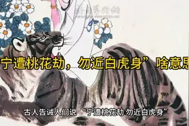 “宁遭桃花劫，勿近白虎身”啥意思？视频封面