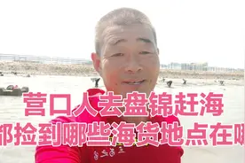 营口人去盘锦赶海，都捡到哪些海货，地点在哪