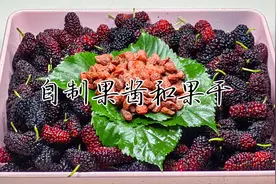 桑椹加枸杞作用真厉害，爱美的人和他都在这样吃，好处真多视频封面