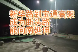 新华路到宝通高架成为断头路，网友问能不能向南延伸至坊子新区视频封面