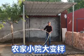 农家小院升级美化，村里买800块红砖铺地面，整天忙碌却乐在其中视频封面