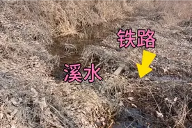 在中条山深处发现一条废弃铁路，保存完整，荒草丛生，溪水涓涓视频封面