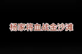杨家将鏖战金沙滩，老令公血溅李陵碑视频封面