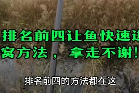 排名前四让鱼快速进窝方法 ，需要的请拿走 ！