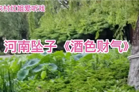 河南坠子名家莫红梅《酒色财气》，唱词很有深意，凡事不可过视频封面