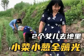 农民王小：2种草到底是啥？2个女儿争论，葱都薅没了视频封面