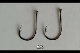 野外垂钓时，有倒刺鱼钩和无倒刺鱼钩哪个更好，老钓友与您探讨视频封面