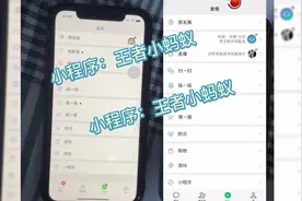 王者扫码登录教程，王者上号器
