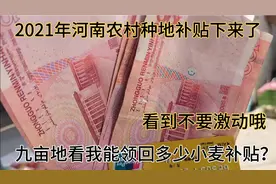今年河南周口农村地亩补贴下来了，还不错，看看九亩地领回多少钱