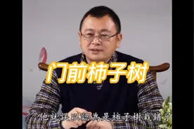 门前柿子树视频封面