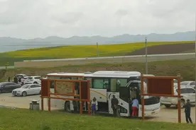 阿米贡洪大草原位于甘南夏河县阿木去乎镇这里有花海香帐牧野星空视频封面
