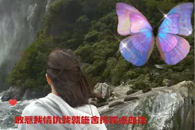 葵花点穴手视频封面