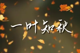 厚爱诗词——你读的诗皆有来处之九：一叶知秋视频封面