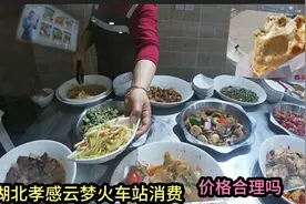中午12点 小伙在孝感云梦站点了2个菜，结账以为看花眼，价格意外视频封面