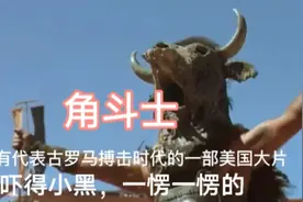 角斗士是美国电影中反映古罗马角斗士最真实的一部电影视频封面