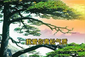 瞿琮《我爱你，中国》歌词诵读:电影《海外赤子》插曲视频封面