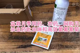 盆栽月季用药，农药，网购月季杀虫药吡虫啉和高效氯氟氰菊酯视频封面