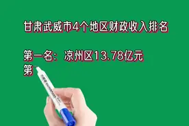 甘肃武威市4个地区财政收入排名视频封面