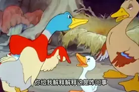 到底是谁的种？？？视频封面