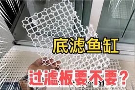 鱼缸底滤槽还缺什么？要不要加过滤板？反正我是加了，很有用视频封面