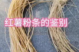 红薯粉条如何辨别真假？75岁老农教你一招，轻松辨别“假粉条”视频封面