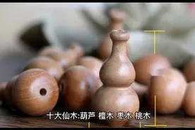 十大仙木之桃木视频封面