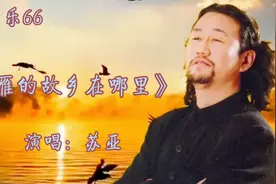 苏亚演唱的《大雁的故乡在哪里》，它艰辛寻找故乡，曲调低沉哀伤视频封面