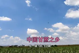 中国甘蔗之乡，广西扶绥县种有好多甘蔗呀视频封面