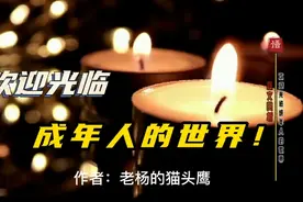 散文赏析：欢迎光临成年人的世界！（作者：老杨的猫头鹰）视频封面