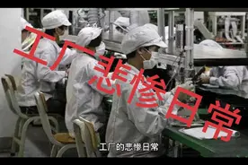 一个进厂3天的女网友透露心里真实想法！！！视频封面