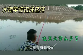 野钓小哥既然要用大物竿？线组3十2，8号钩，难怪这里鱼个个都大视频封面