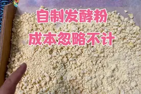 厨余堆肥发酵粉敞开用，菌种是会自我繁殖的，反复做低成本视频封面