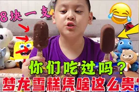 炎炎夏日小翔喜欢吃冰棍，老爸买梦龙雪糕给他吃，8块一支贵不贵视频封面