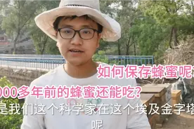 放置四五年，或更久的蜂蜜还能吃吗？养蜂人才会告诉你的蜂蜜真像
