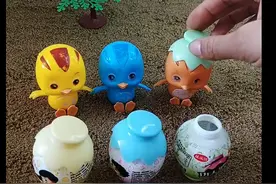 这是我的帽，这是我的锅视频封面