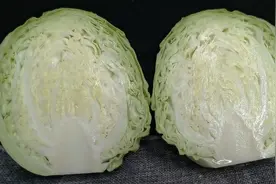 卷心菜想要好吃，原来做法这么简单，教你一招，出锅比肉都受欢迎视频封面