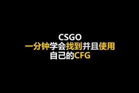 如何使用自己的CFG