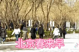 最高气温18度，北京的春天提前到来视频封面