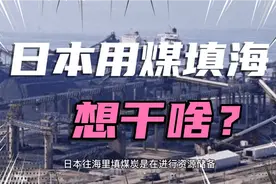 日本为什么用煤填海，从国外进口大量木材视频封面