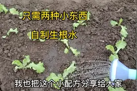 自制生根水，只需要用到两种不起眼的小东西，配方简单实用视频封面