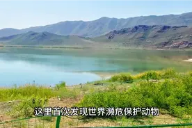 大美新疆，乌鲁木齐的世外桃源——白鸟湖视频封面