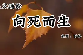 有一种活法叫向死而生。从死亡的角度看生命，才懂得更好活在当下视频封面